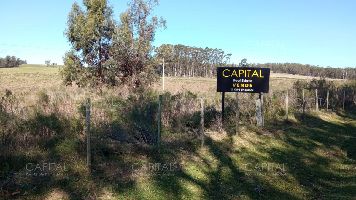 Terreno ID.36943 - Tierra en Venta para Desarrollar Próximo a Fasano y El Quijote