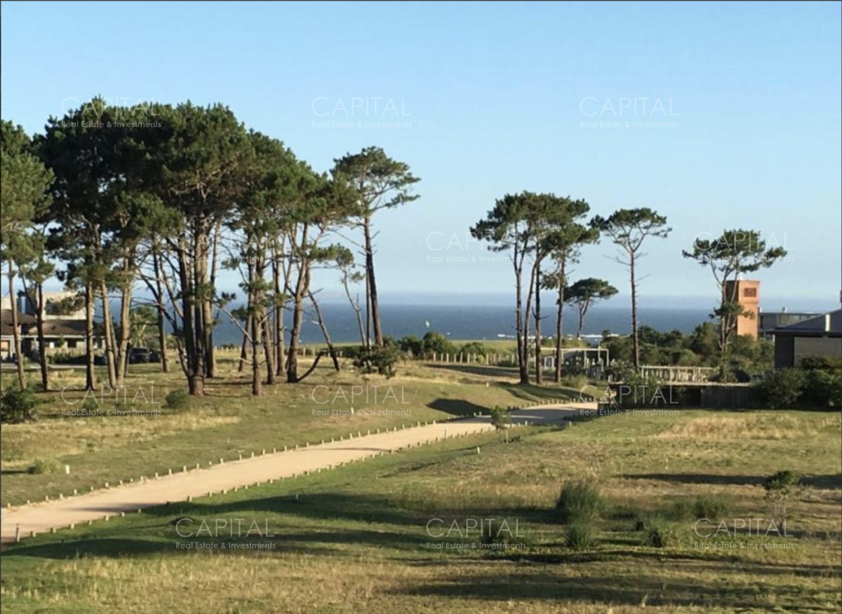 Terreno ID.38767 - Lote en venta en barrio cerrado Pinar del Faro en José Ignacio 