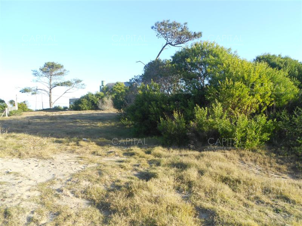 Terreno ID.38160 - Terreno de 900 m² en La Juanita