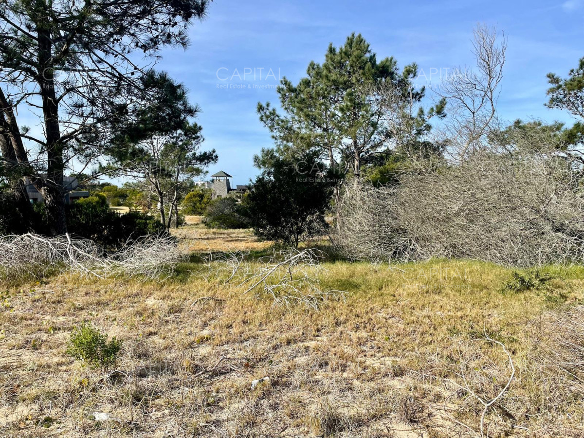 Terreno ID.38234 - Laguna Escondida barrio cerrado en Jose Ignacio 