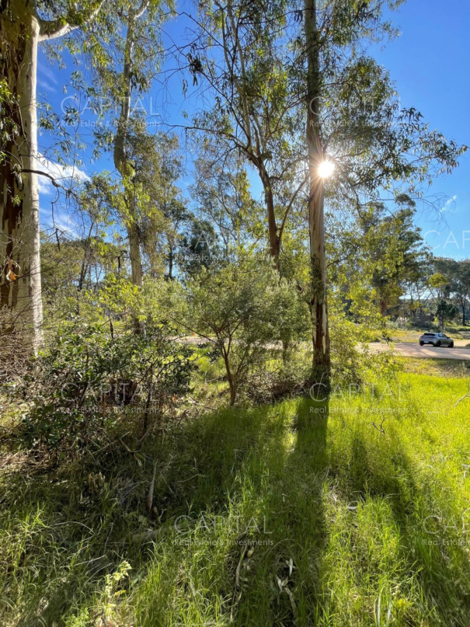Terreno ID.40411 - Lote en venta en barrio cerrado Reserva Montoya en La Barra próximo almar