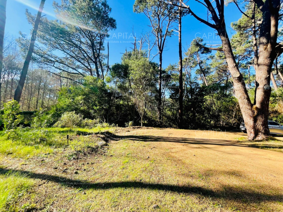 Terreno ID.38189 - Oportunidad Lote en barrio cerrado Reserva Montoya La Barra