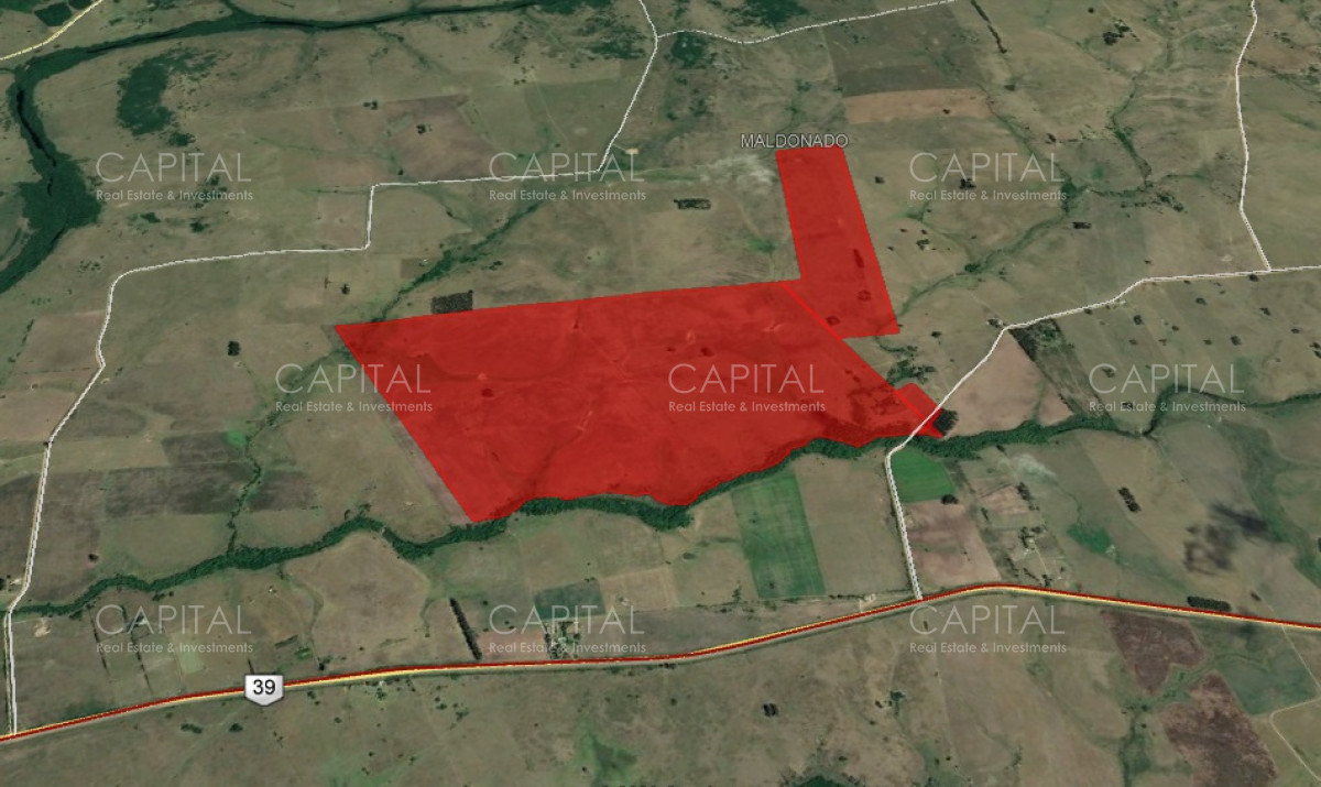 Excelente Chacra en Venta - Ruta 39