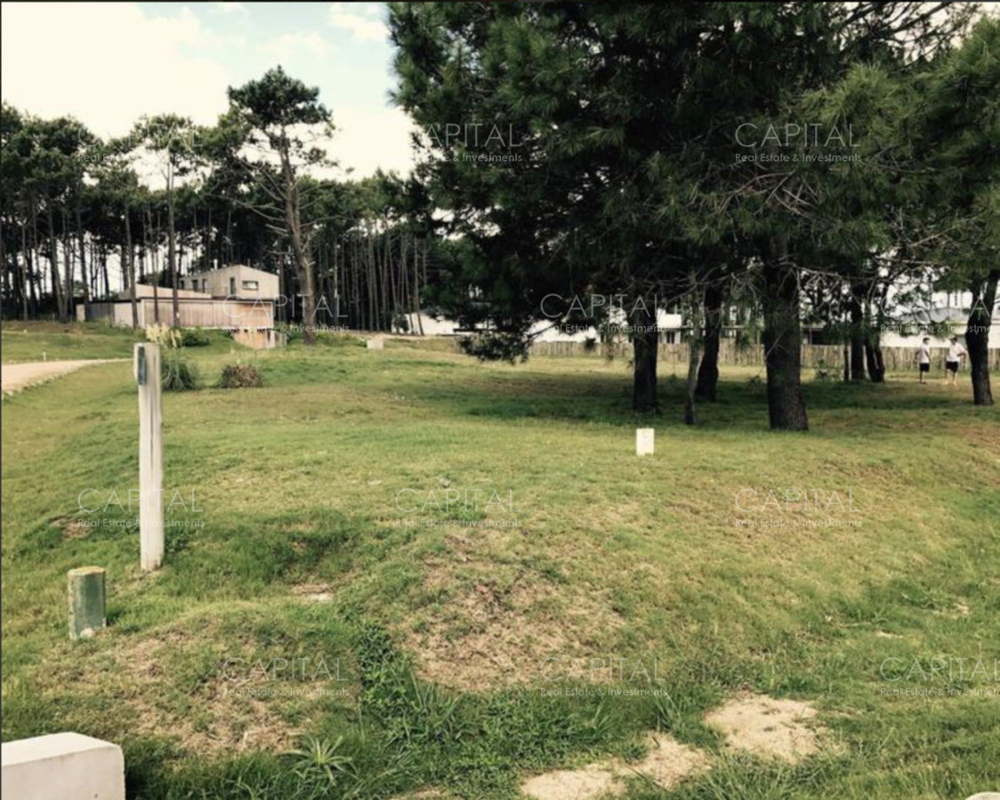 Terreno ID.39126 - Lote en venta Pinar del Faro en José Ignacio