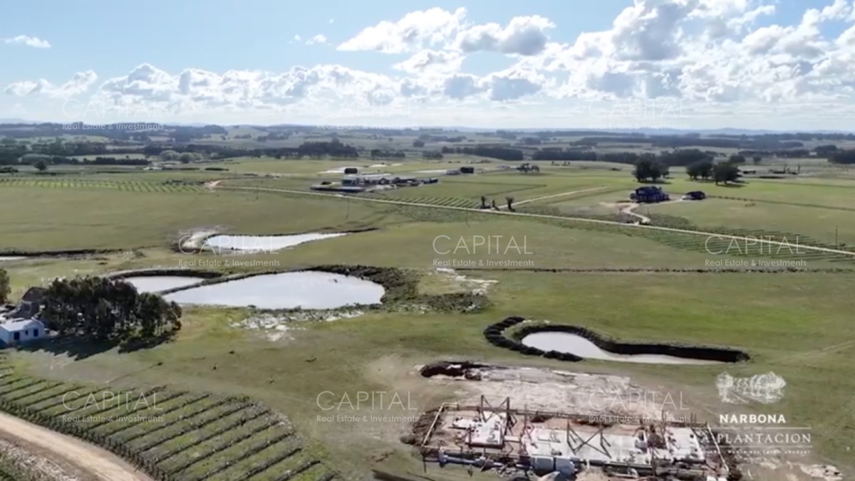 Terreno ID.35935 - Venta de chacra Barrio Privado, Ruta 104 