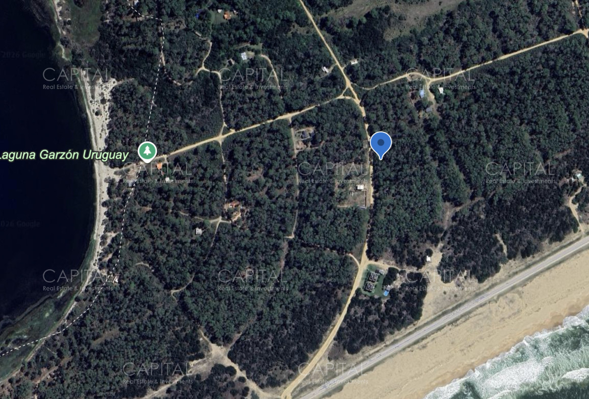 El Caracol, José Ignacio, foto 2