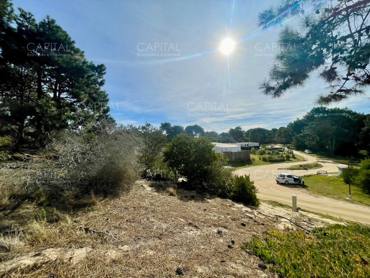 Terreno ID.38235 - Laguna Escondida barrio cerrado en José Ignacio 