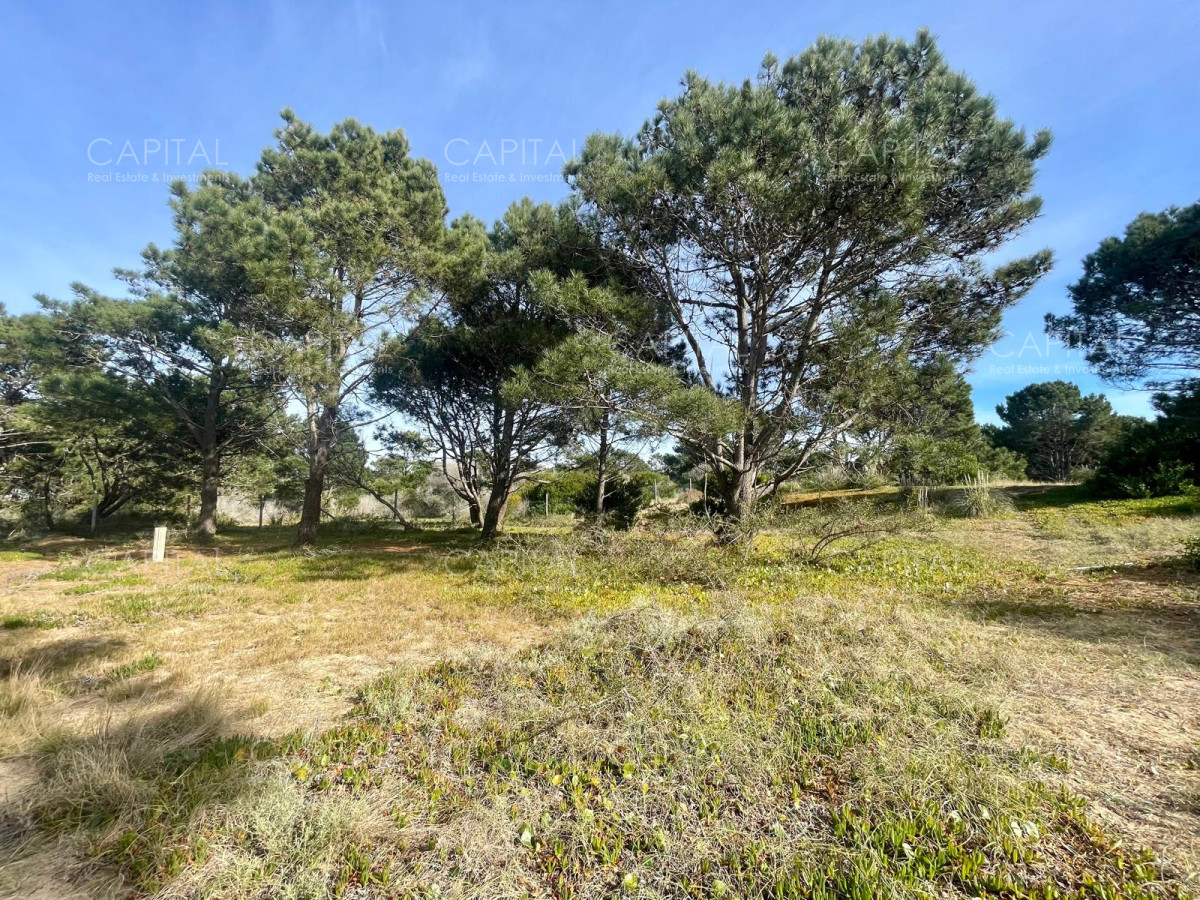 Terreno ID.32207 - Laguna Escondida barrio privado en Jose Ignacio 
