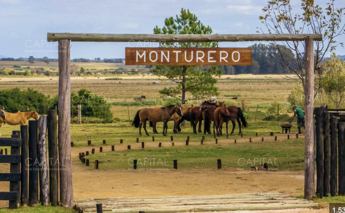 Terreno ID.39239 - Terreno 5047 m2 , en El Quijote - La Barra