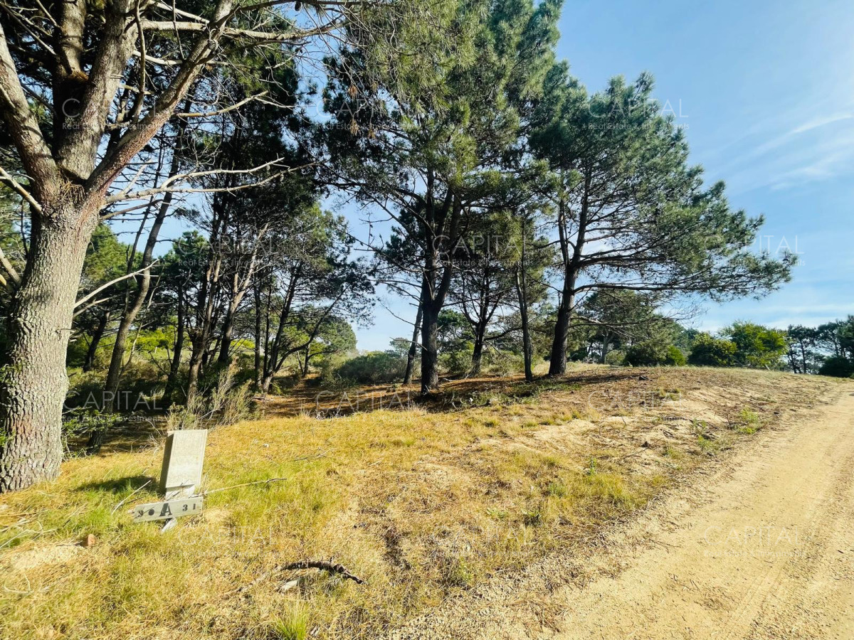 Terreno ID.32214 - Laguna Escondida barrio cerrado en Jose Ignacio 