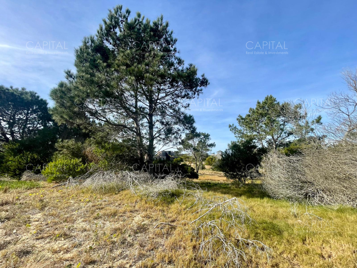 Terreno ID.38234 - Laguna Escondida barrio cerrado en Jose Ignacio 