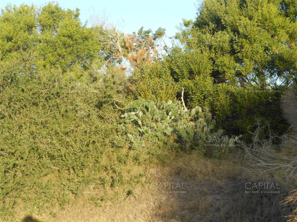 Terreno ID.38160 - Terreno de 900 m² en La Juanita