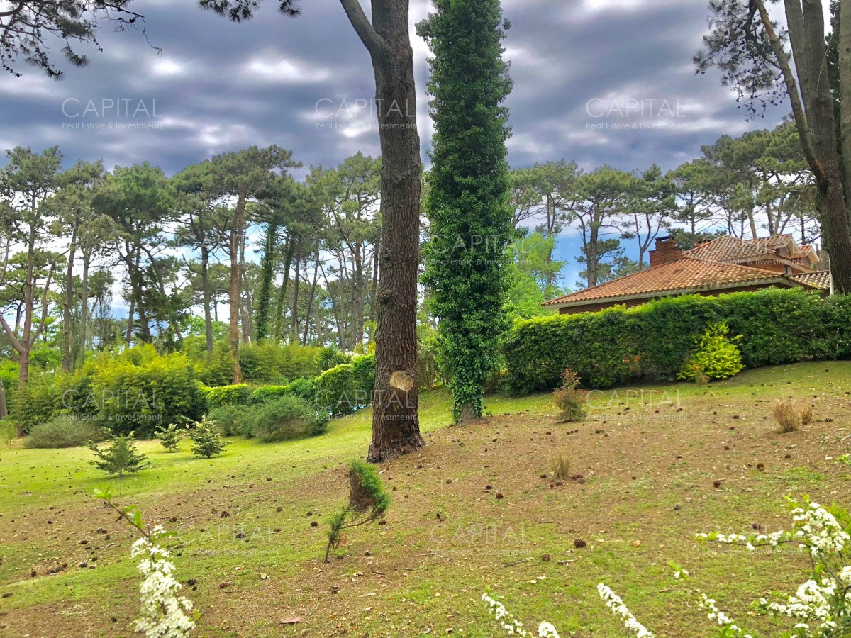 Terreno ID.33552 - Lote en venta en Playa Brava, Punta del Este