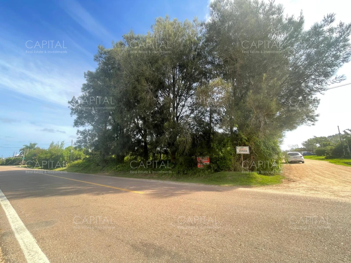 Terreno ID.37927 - Terreno alto en venta en zona El Chorro Manantiales