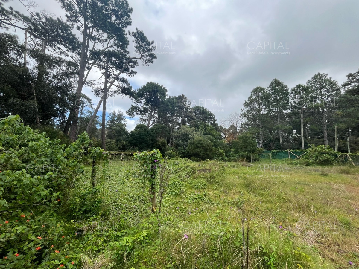 Terreno ID.36263 - Terreno en venta en el Golf de Punta Del Este 