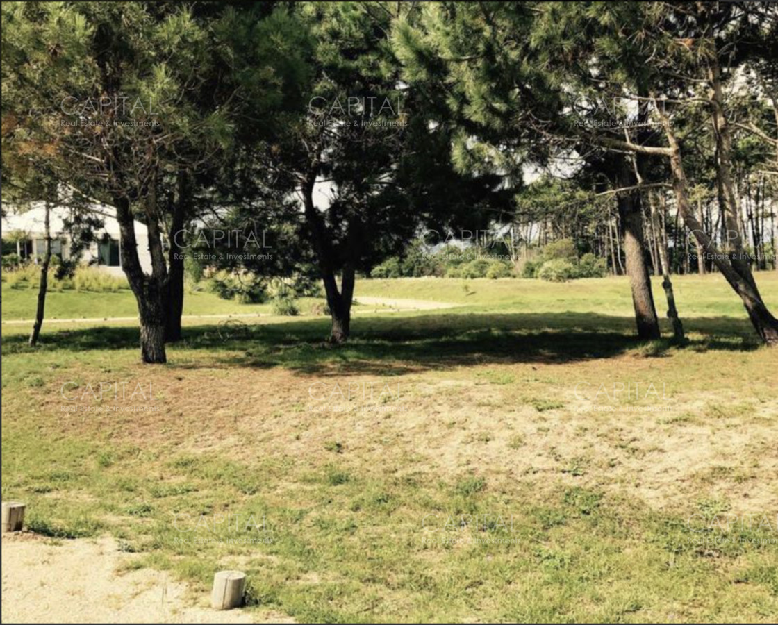 Terreno ID.39126 - Lote en venta Pinar del Faro en José Ignacio