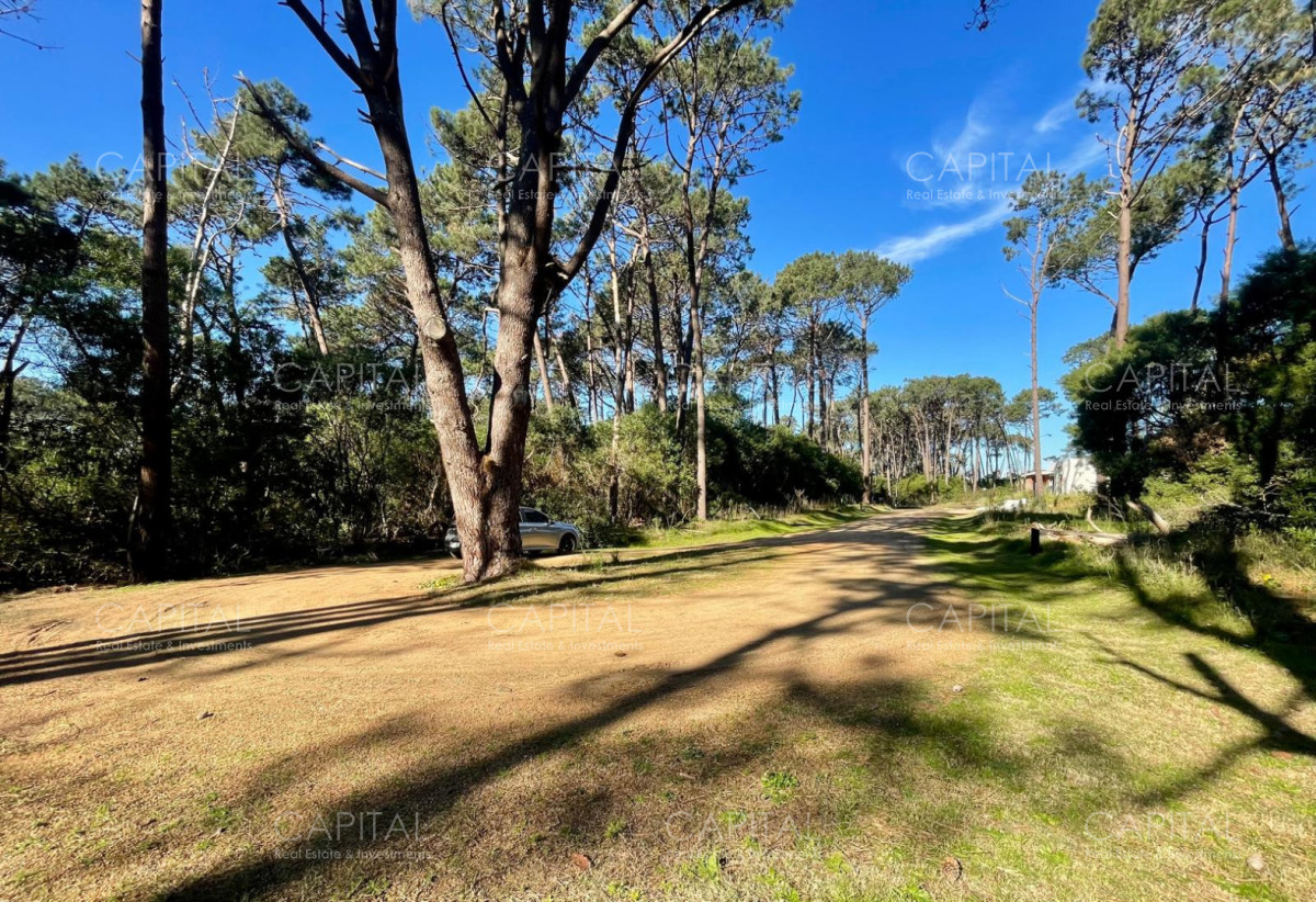 Terreno ID.38189 - Oportunidad Lote en barrio cerrado Reserva Montoya La Barra