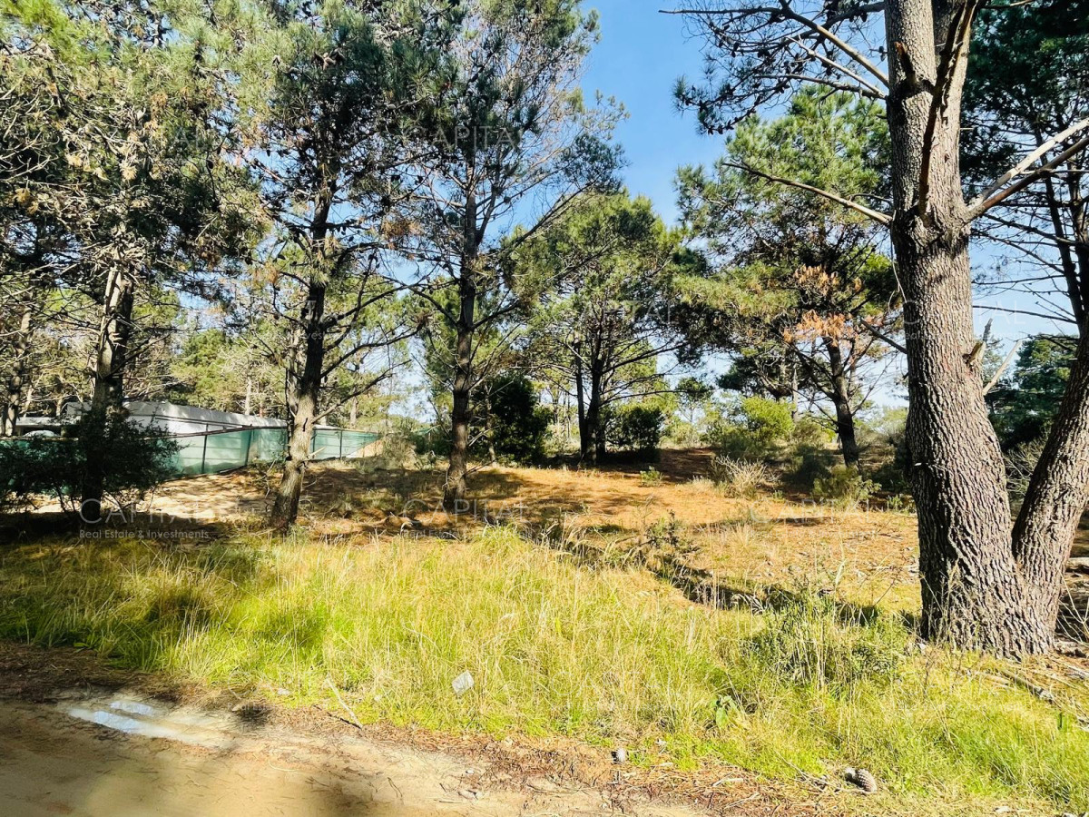 Terreno ID.38236 - Laguna Escondida barrio cerrado en José Ignacio 