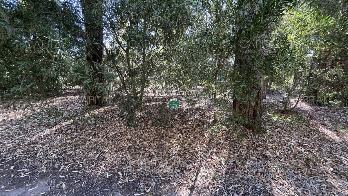 Terreno ID.39248 - Oportunidad lote de 1001 m2 en Solanas -Design Village barrio privado