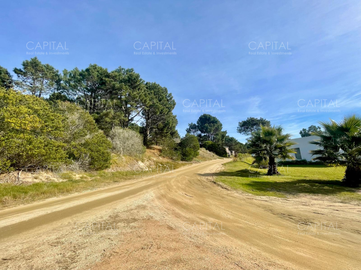 Terreno ID.38235 - Laguna Escondida barrio cerrado en José Ignacio 