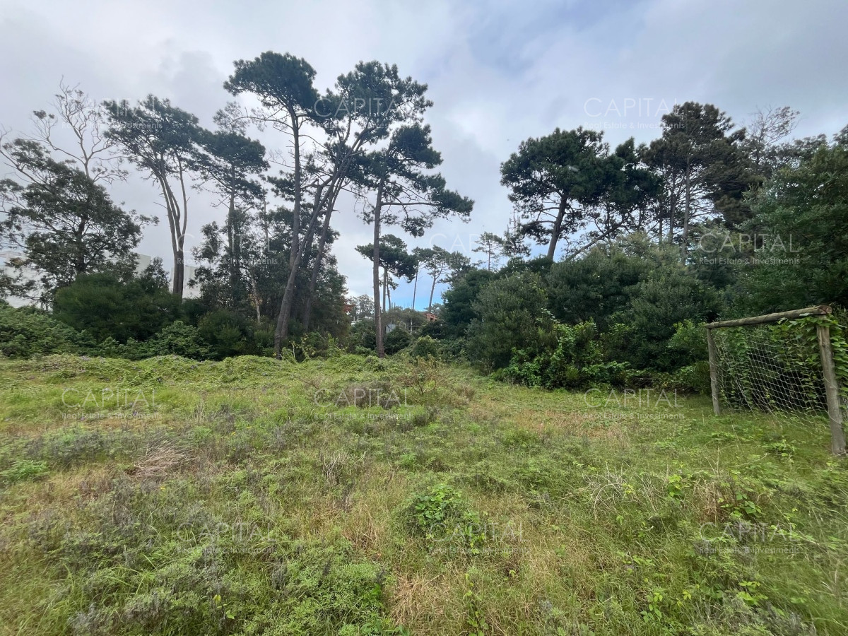 Terreno ID.36263 - Terreno en venta en el Golf de Punta Del Este 