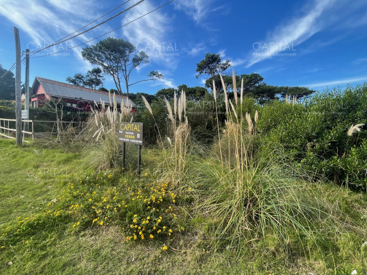 Terreno ID.38093 - Terreno en venta a pocos pasos de Playa Montoya