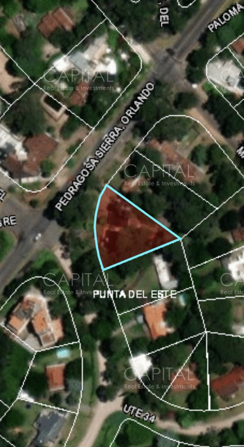 Terreno ID.33853 - Terreno con excelente ubicación, San Rafael, Punta del Este