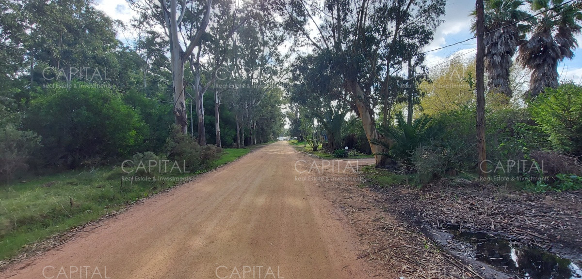 Terreno ID.31203 - Buen lote en Venta en la Barra el Tesoro 