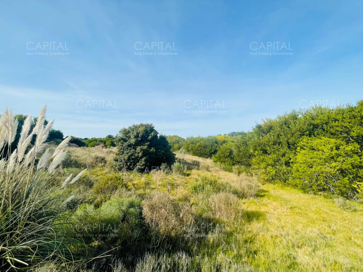 Terreno ID.32227 - Lote en venta en Laguna Escondida José Ignacio 