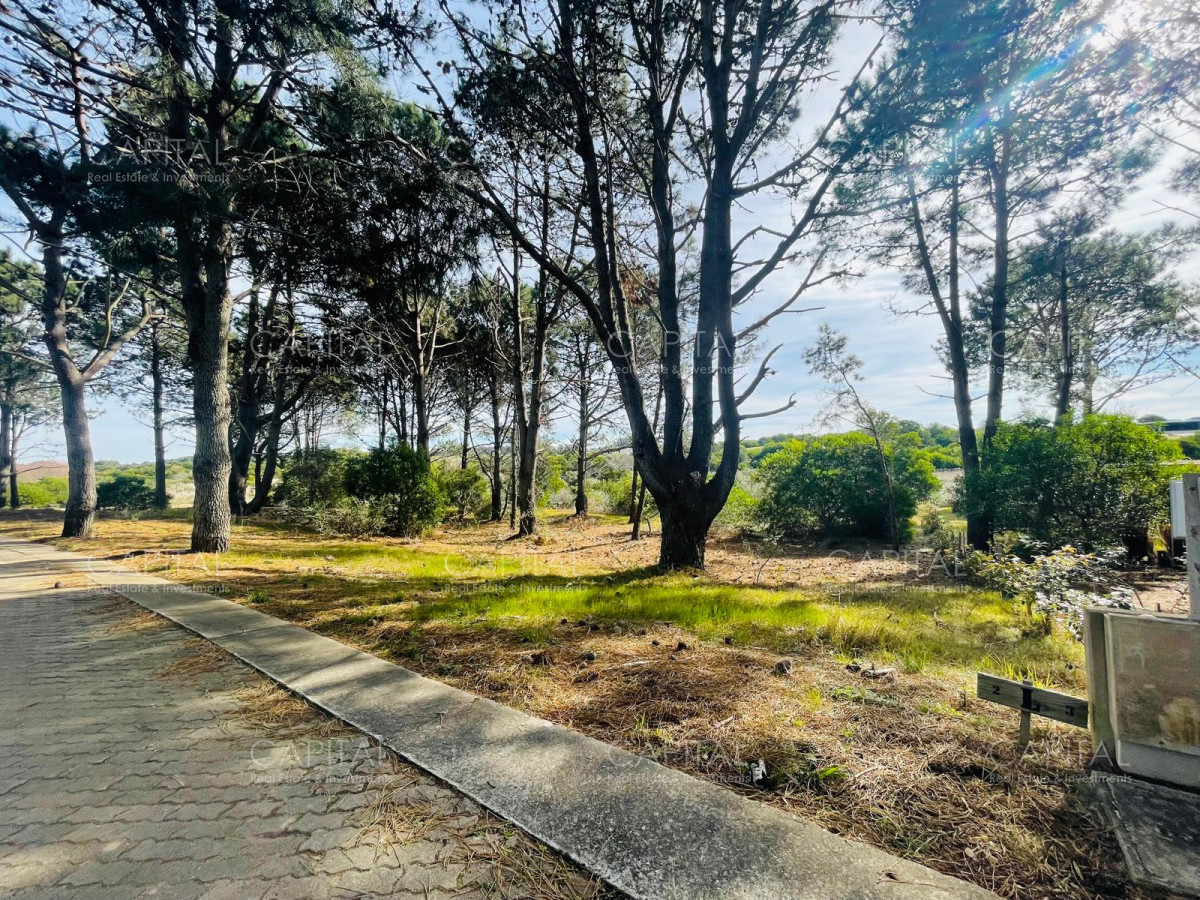 Terreno ID.32224 - Lote en venta en Laguna Escondida José Ignacio 