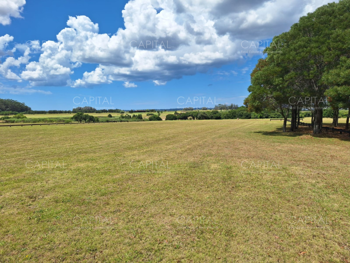 Terreno ID.39745 - Terreno en Venta en Fasano 