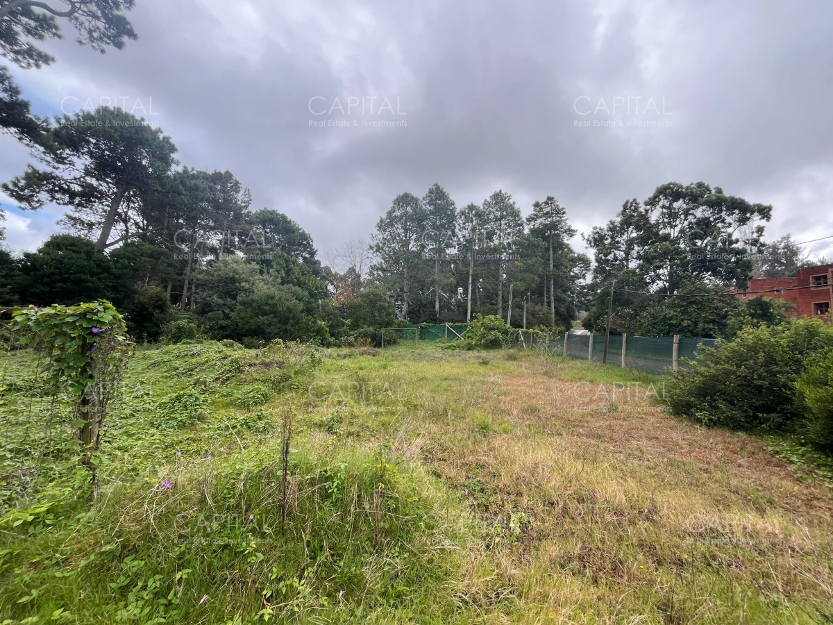 Terreno ID.36263 - Terreno en venta en el Golf de Punta Del Este 