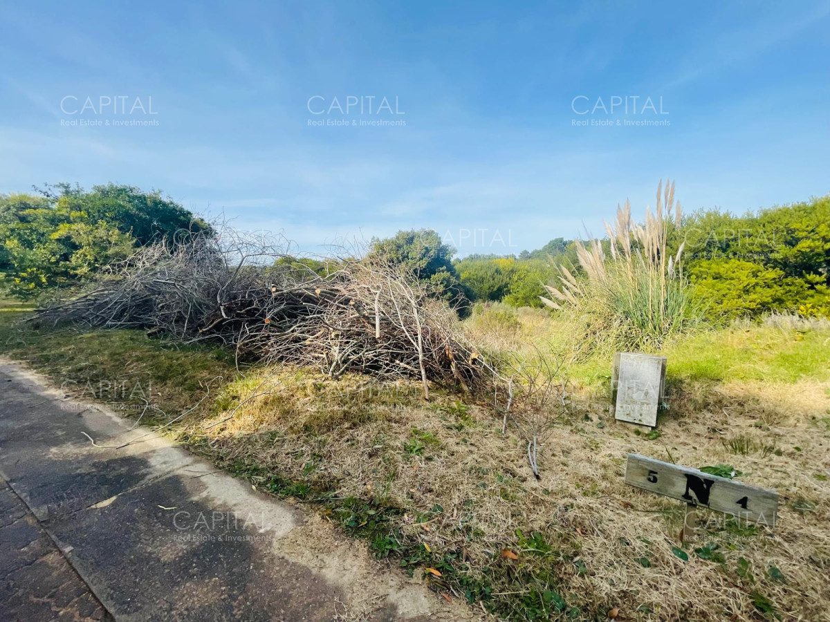 Terreno ID.32227 - Lote en venta en Laguna Escondida José Ignacio 