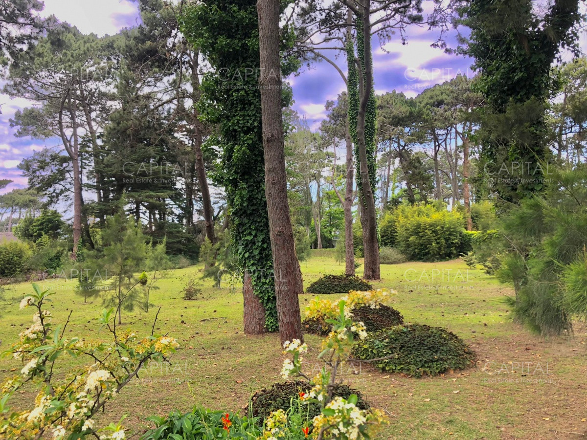 Terreno ID.33552 - Lote en venta en Playa Brava, Punta del Este