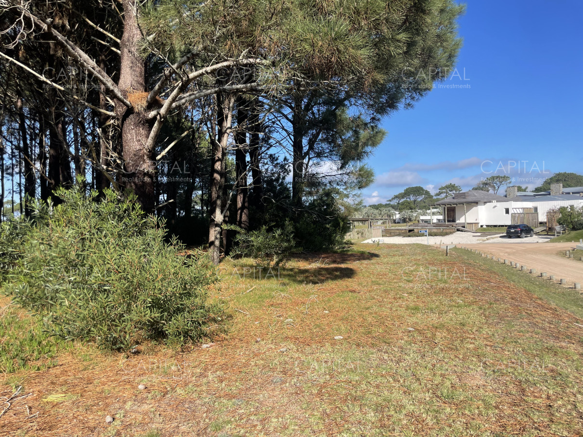 Terreno ID.35601 - Pinar del Faro Terreno en Venta