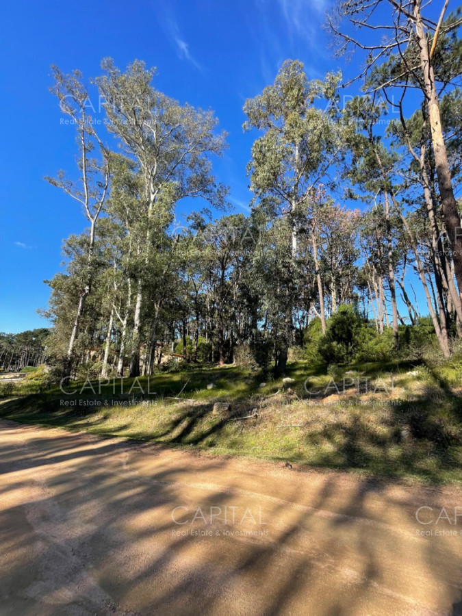 Terreno ID.40412 - Lote en venta en barrio cerrado Reserva Montoya en La Barra 