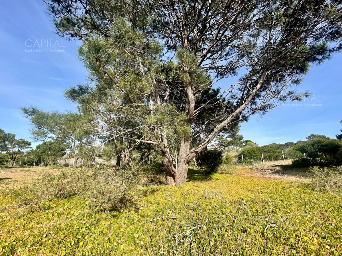 Terreno ID.32207 - Laguna Escondida barrio privado en Jose Ignacio 