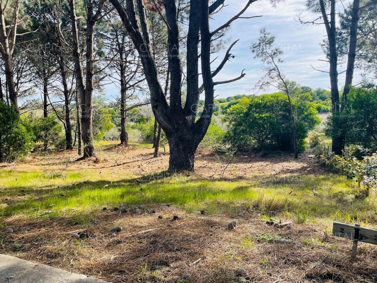 Terreno ID.32224 - Lote en venta en Laguna Escondida José Ignacio 