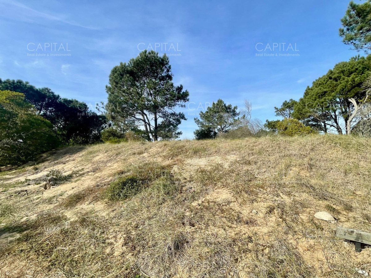 Terreno ID.38234 - Laguna Escondida barrio cerrado en Jose Ignacio 