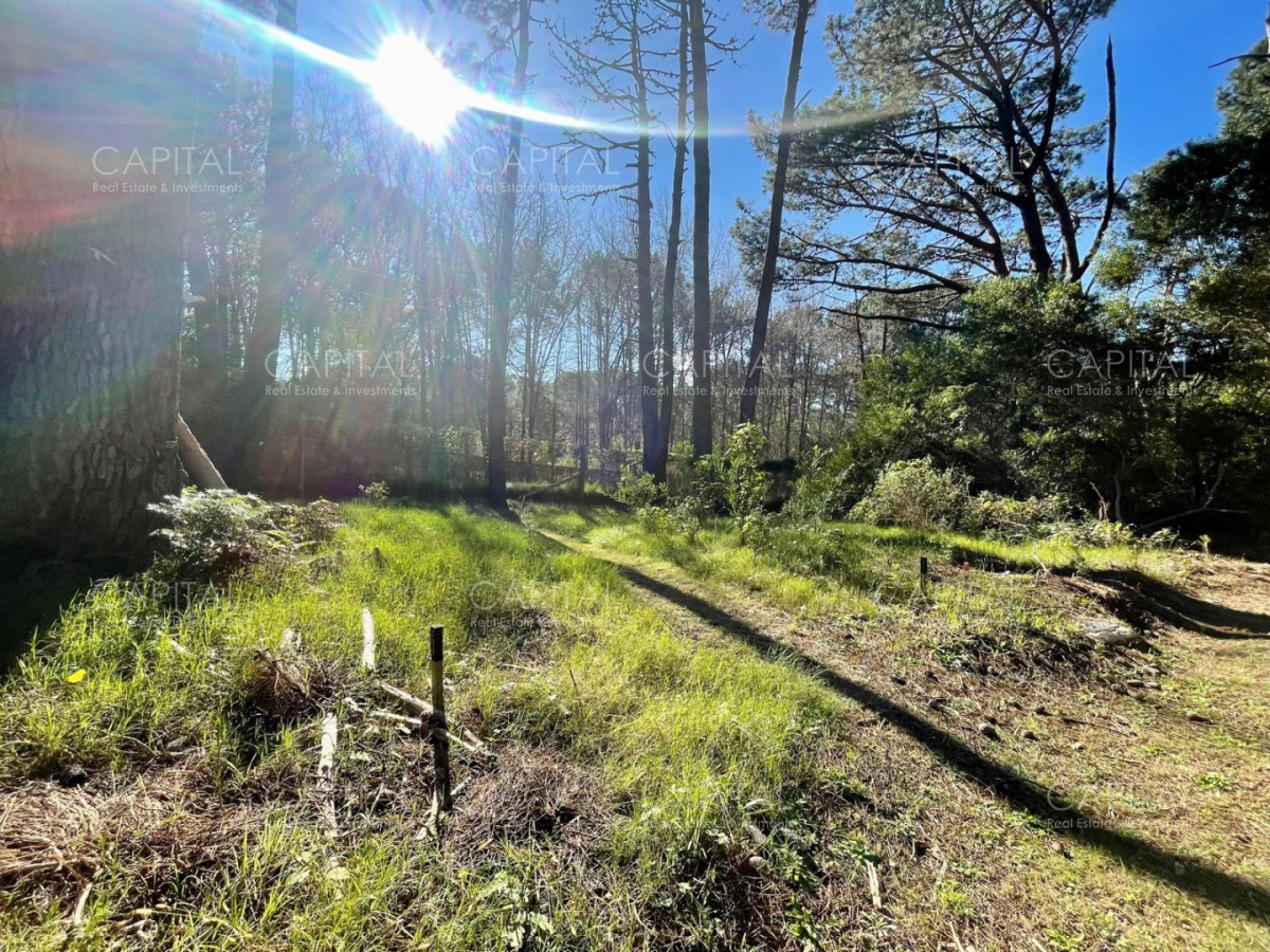 Terreno ID.38189 - Oportunidad Lote en barrio cerrado Reserva Montoya La Barra