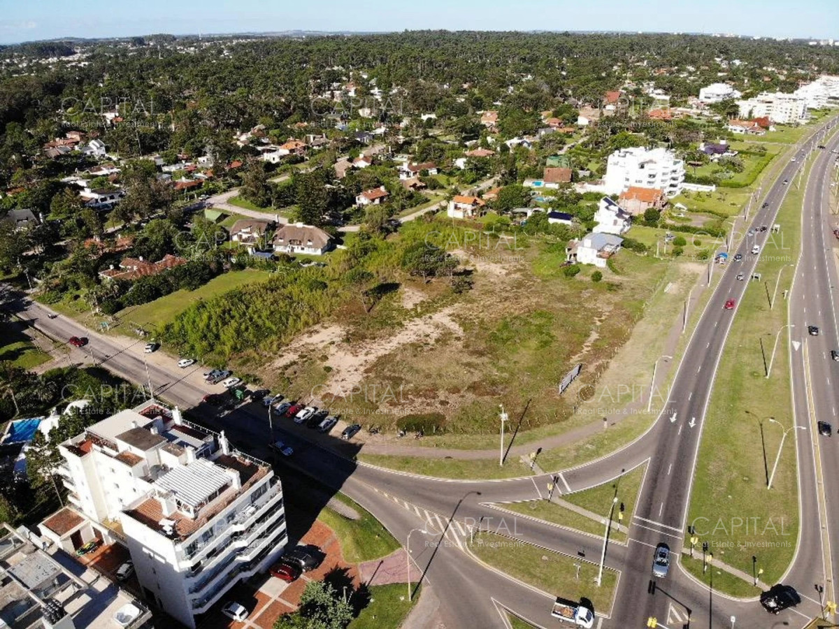 Terreno Frente al Mar Lote 10.376 m2 frente al mar Punta del Este - CCP32593T