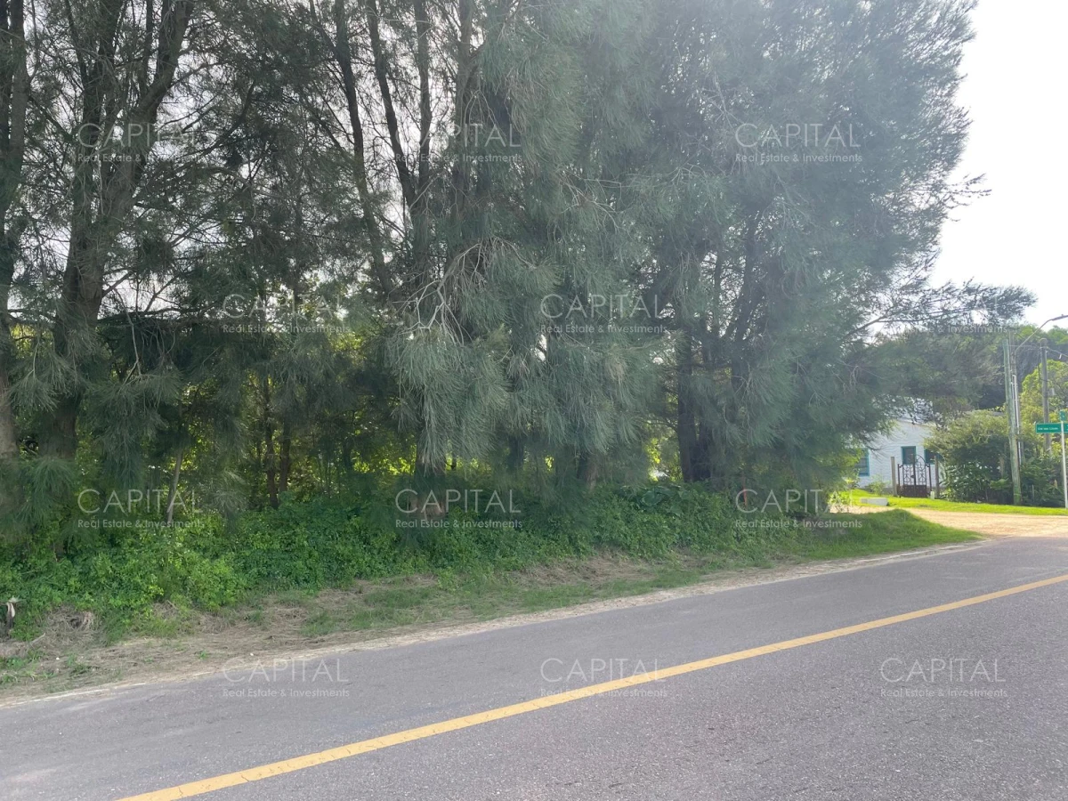 Terreno ID.37927 - Terreno alto en venta en zona El Chorro Manantiales