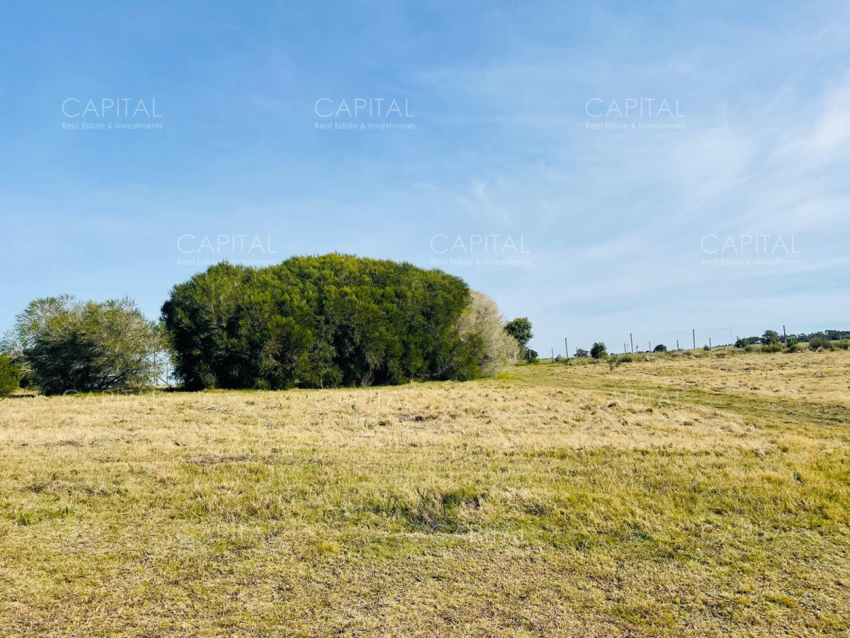 Terreno ID.38565 - Lote en Laguna Escondida en Jose Ignacio
