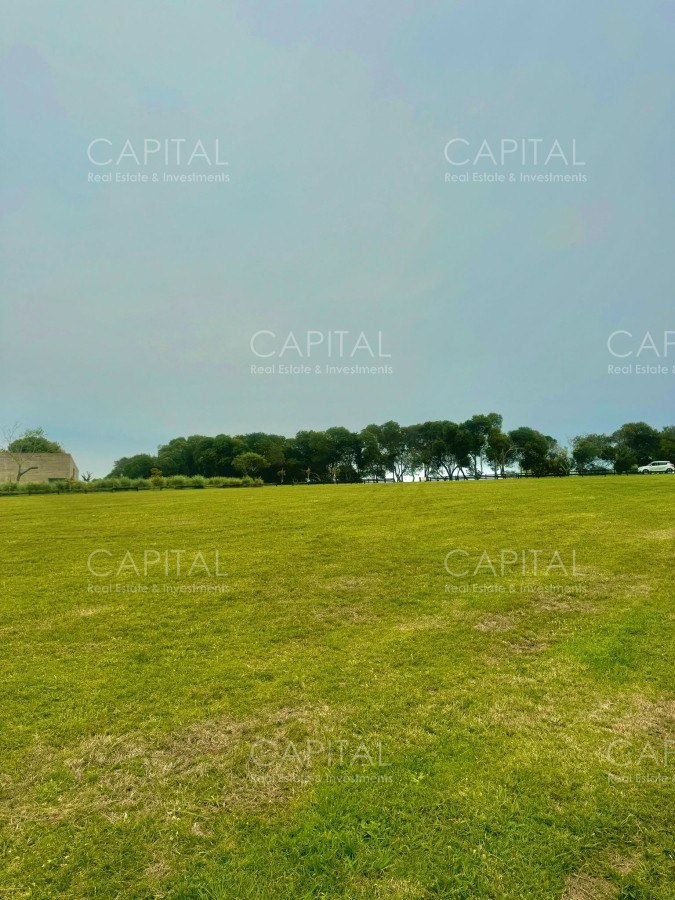 Terreno ID.36923 - Terreno en Venta en Fasano 