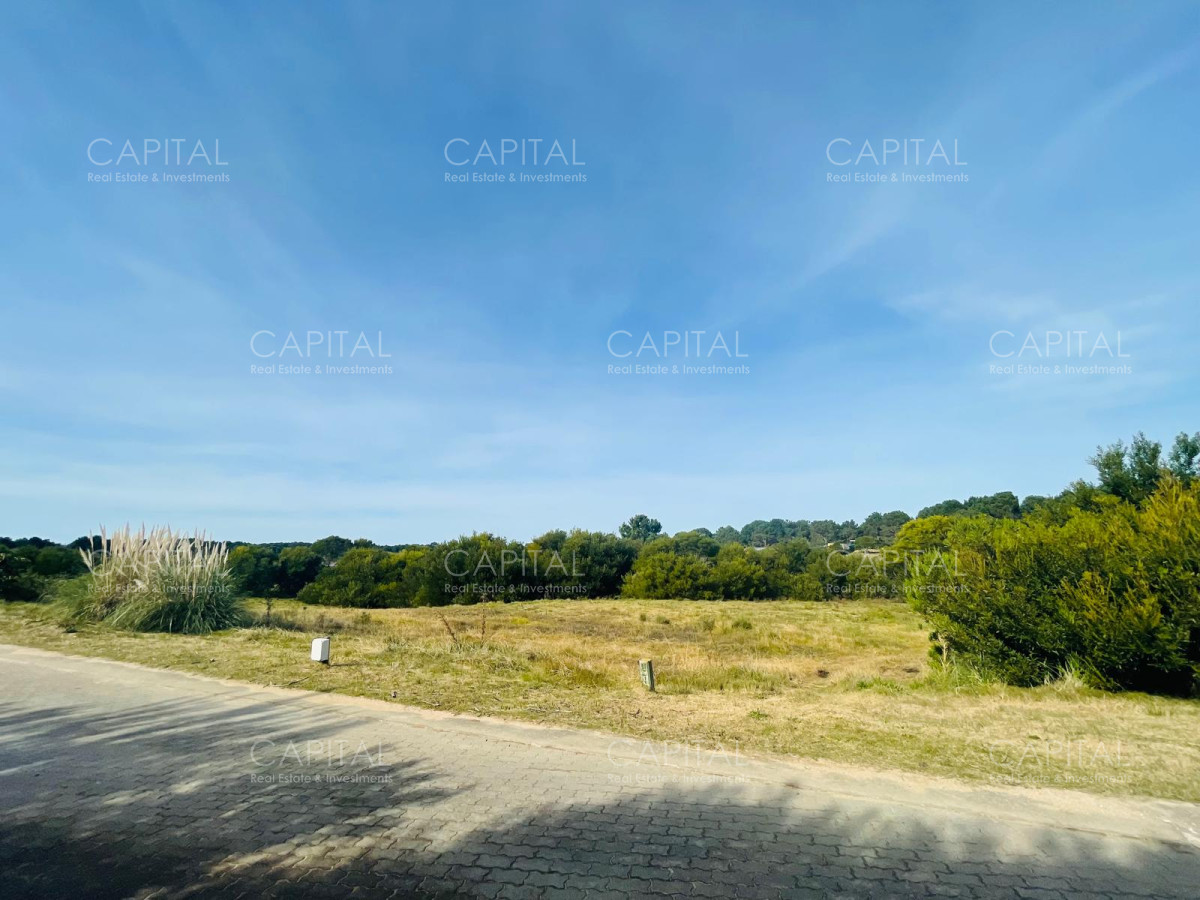 Terreno ID.38233 - Lote en venta en Laguna Escondida Jose Ignacio