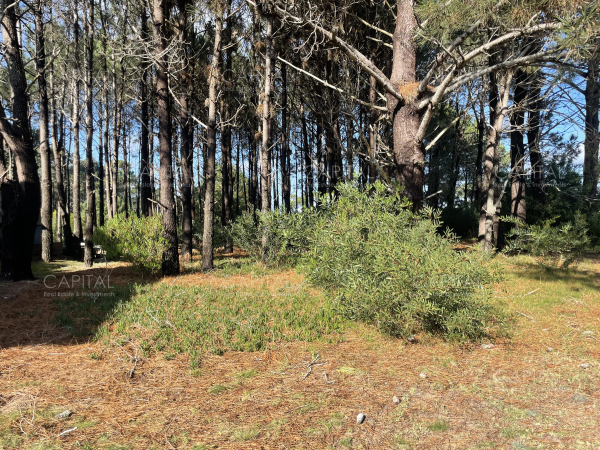 Terreno ID.35601 - Pinar del Faro Terreno en Venta