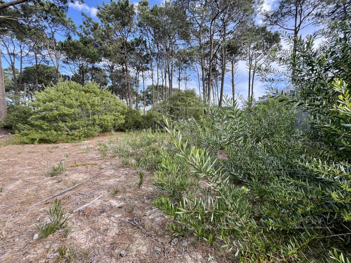 Terreno ID.38623 - Terreno en venta Jose Ignacio en Barrio Privado 