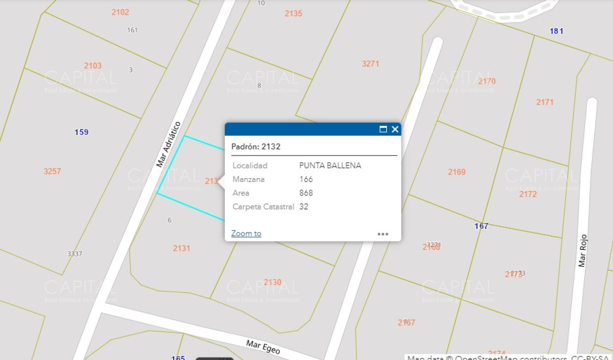 Terreno ID.28767 - Terreno en Punta Ballena