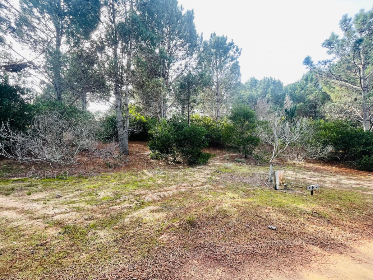 Terreno ID.32208 - Barrio Privado en Jose Ignacio 