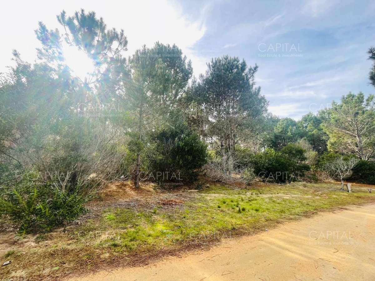 Terreno ID.32208 - Barrio Privado en Jose Ignacio 